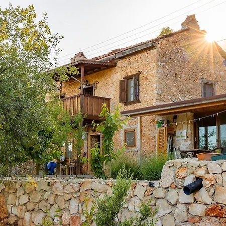 Bademlique Stone Apartment *