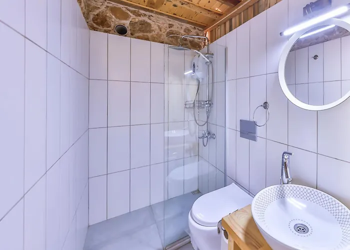 公寓 Bademlique Stone 卡斯